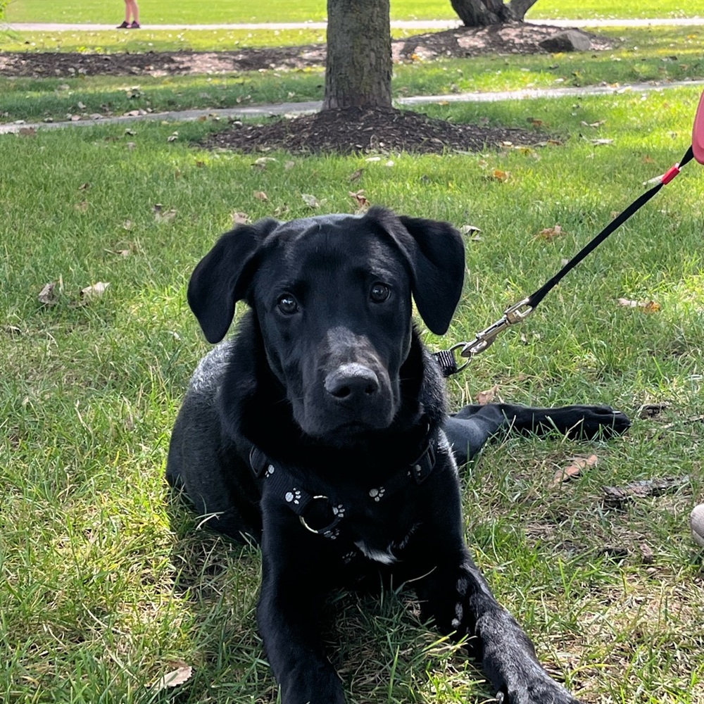 Meet your Posher, Joanna